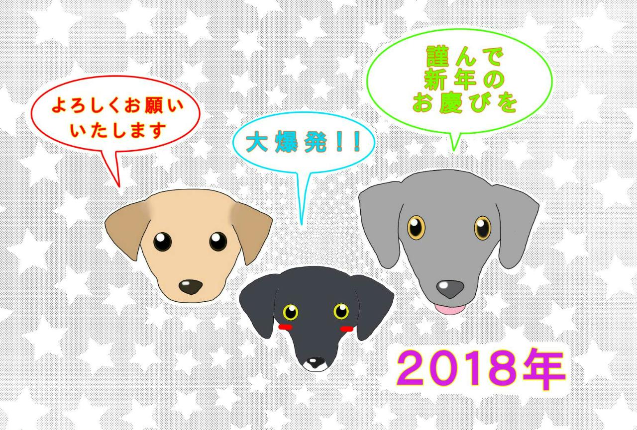 他の年賀状デザイン 雷嵐の犬 猫 亀保護日記